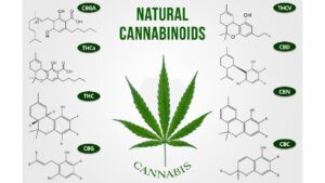 Understanding the Role of Cannabinoids