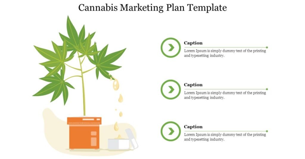 Cannabis Marketing Plan