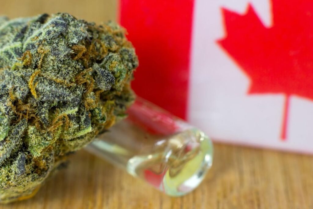 How to Avoid Scams When Buying Weed Online in Canada